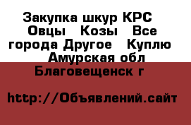 Закупка шкур КРС , Овцы , Козы - Все города Другое » Куплю   . Амурская обл.,Благовещенск г.